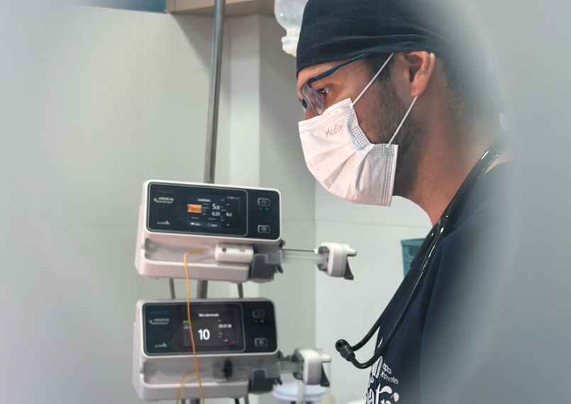 UTI Veterinária