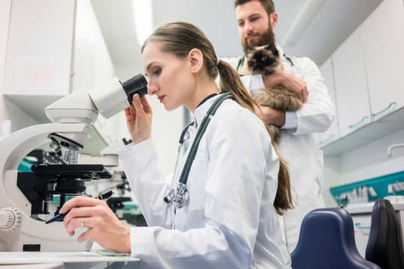 Exames Laboratoriais